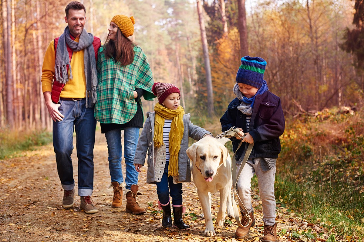 fysiotherapie, fysio, fysiotherapeut, herfstdip, vitamine, bewegen, beweging, tips, herfst, nat, koud, herfstweer, herfstwandeling, hardlopen, duurloop, duursport, fietsen, zonlicht, naar buiten, buitenwereld, psychosomatiek, psychosomatische fysiotherapie, stress, burn-out, blues